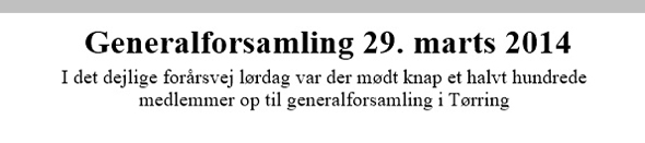 Generalforsamling